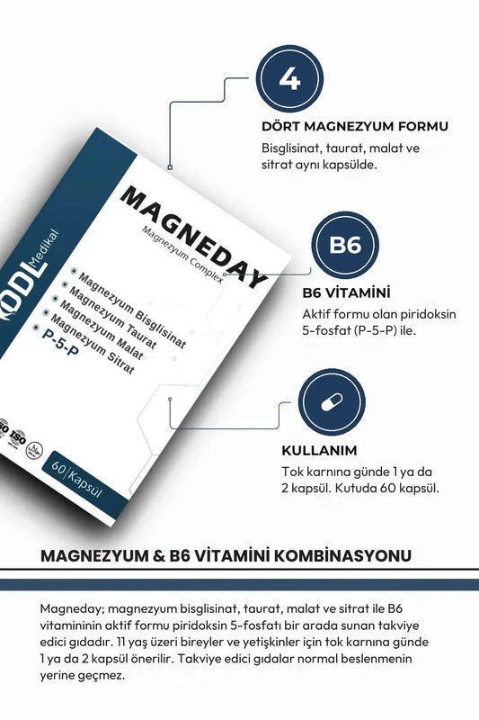 Magneday içerik görseli: dört magnezyum formu ve B6 vitamini (P-5-P)