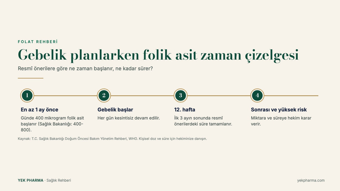Gebelik planlarken folik asit zaman çizelgesi