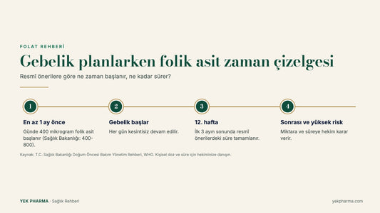 Gebelik planlarken folik asit zaman çizelgesi